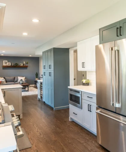 Lake Zurich Kitchen Renovation